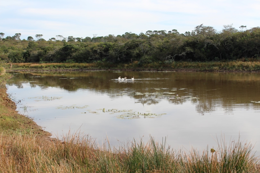 1 Bedroom Property for Sale in Bathurst Rural Eastern Cape